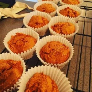Weight Watchers Two Point Cinnamon Muffin