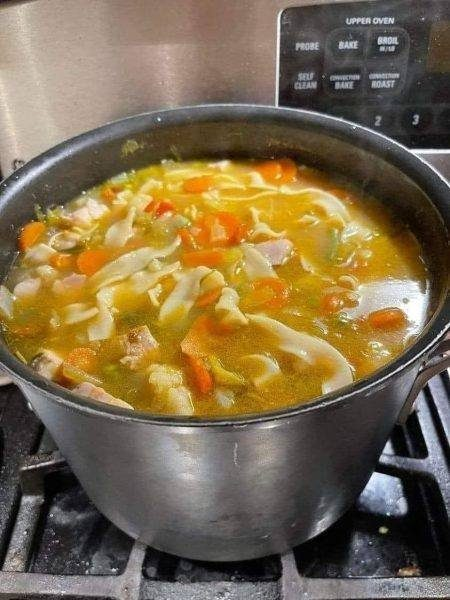 chicken noodle soup – Plant Based and Veganism