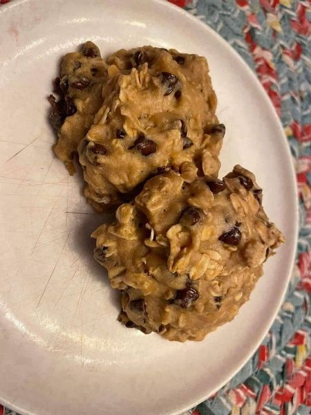 Weight watcers Chocolate chip oatmeal cookies